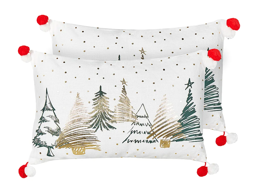 Conjunto de 2 almofadas decorativas em algodão branco 30 x 50 cm ANREDERA