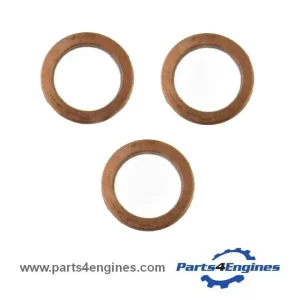 Perkins 103.10 conjunto de arruela injetor