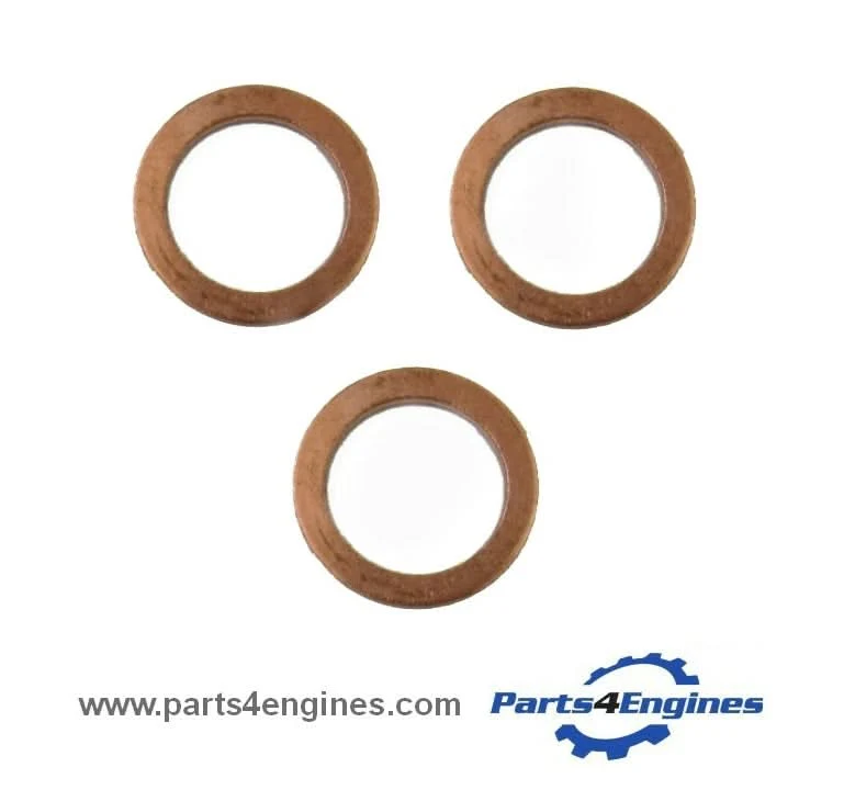 Perkins 103.10 conjunto de arruela injetor