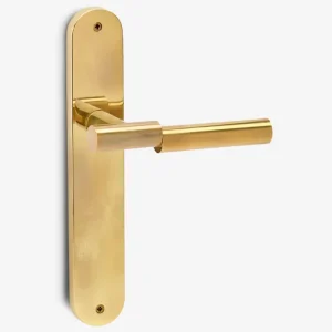 Shift door handle set on oval backplate Compatível Original