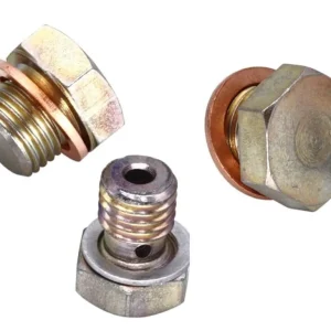Delphi Blanking Plug Kit Filter Assembly