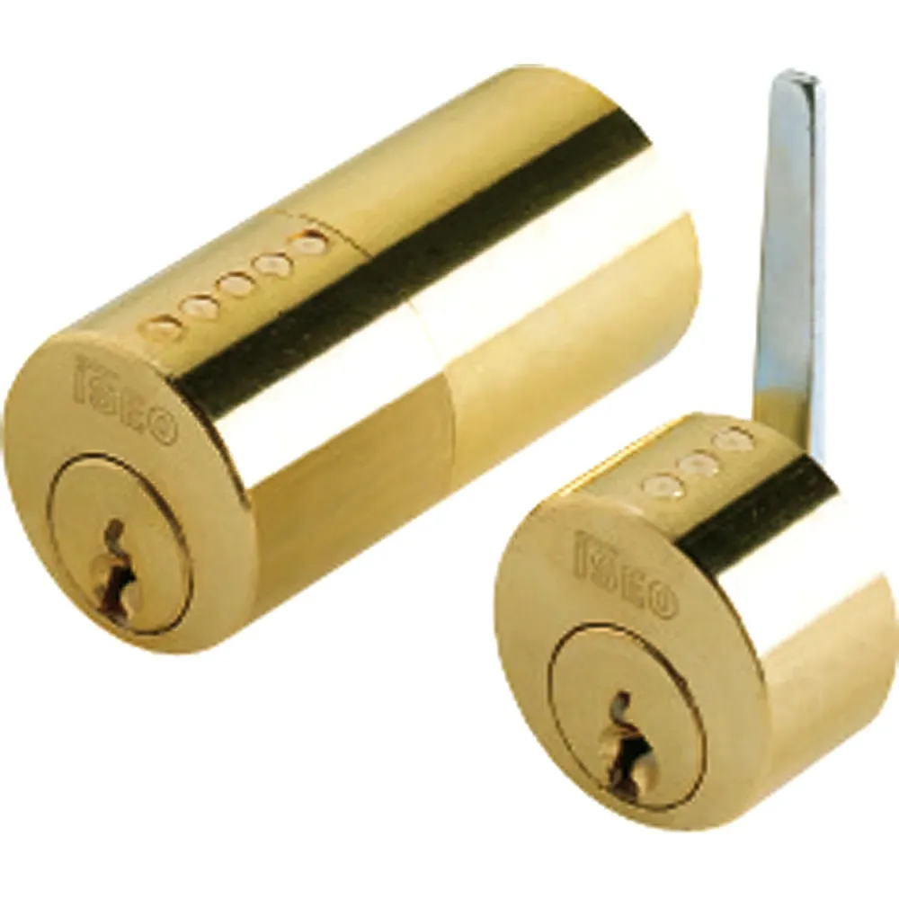 Cilindro Iseo F5 para 500 Lock