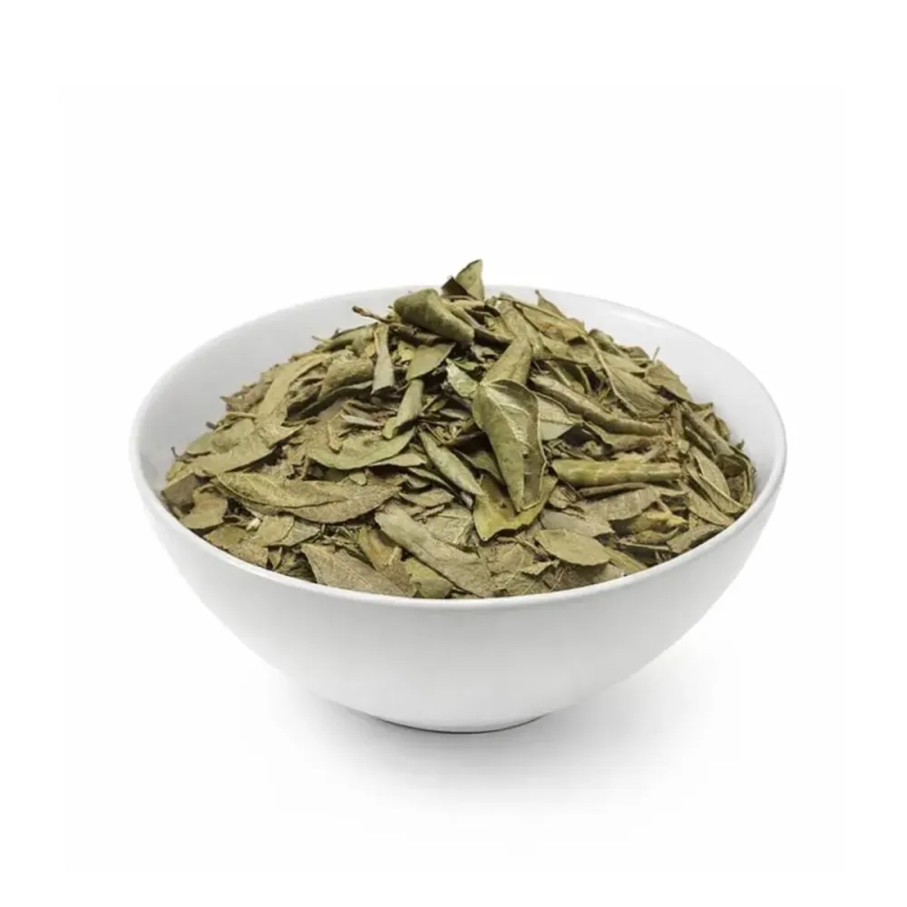 Chá Boldo Chileno - 100g