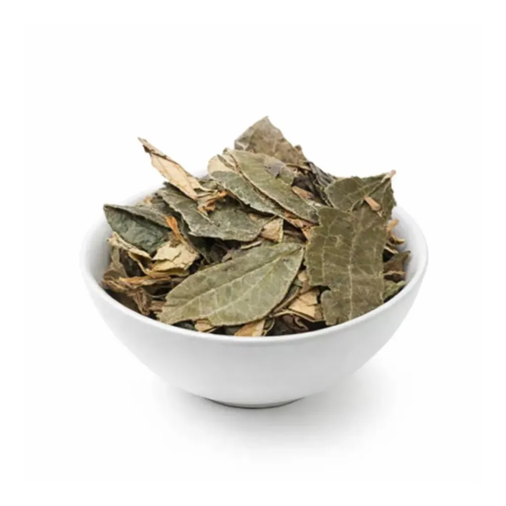 Chá Canela De Velho - Nação Verde 100g