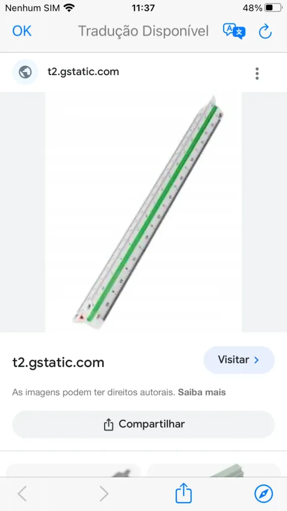 Escala em ABS com 30 cm