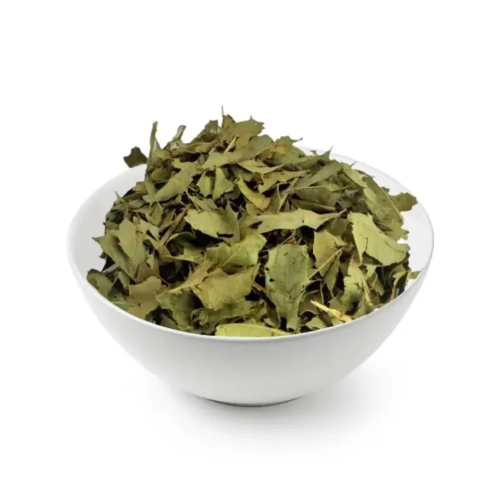 Chá Espinheira Santa - Nação Verde 100g