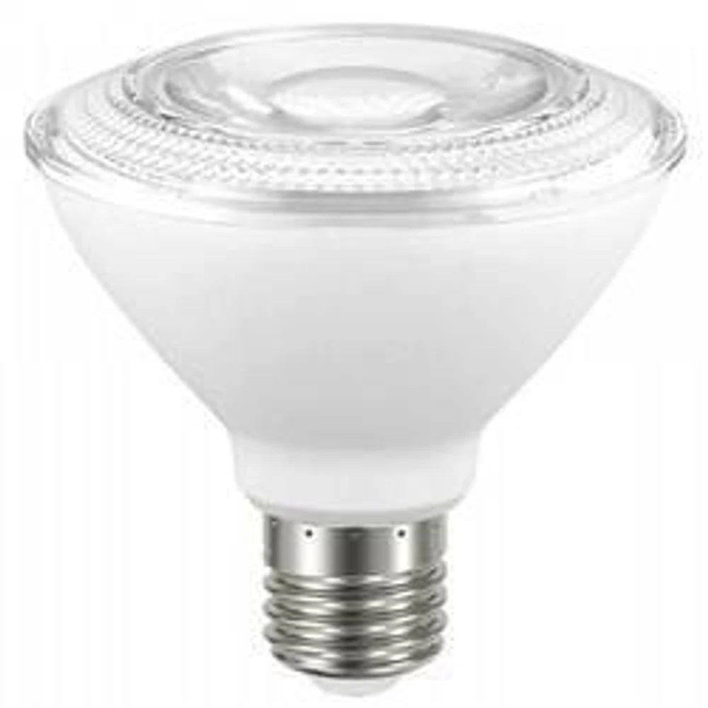 Lampada Led Par 30 9w 2700k
