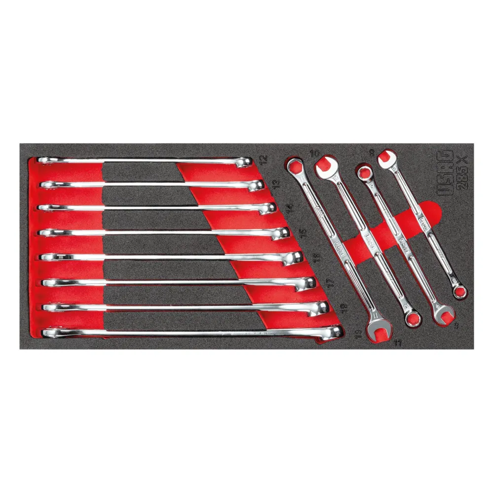 MODULO SPUGNA BICOLORE ASSORTITO (12 PZ) Usag 519 M 285X