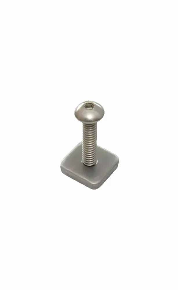 Parafuso e Placa para Longboard