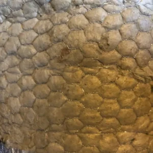 Tapete de lã de pedra na malha de arame Frango 3m2 Roll