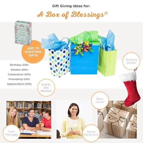 Tarjetas"Promises From God Women", una caja de bendiciones