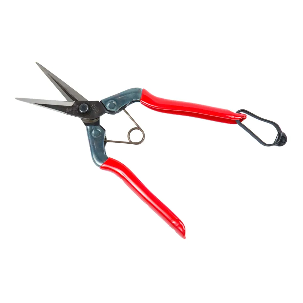 Tesoura coletora Chikamasa T 552 185 mm.