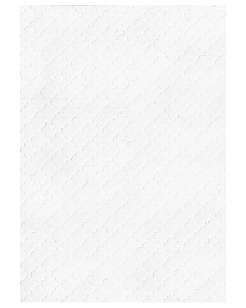 Faux Rabbit Fur Rug 160 x 230 cm Neve GHARO