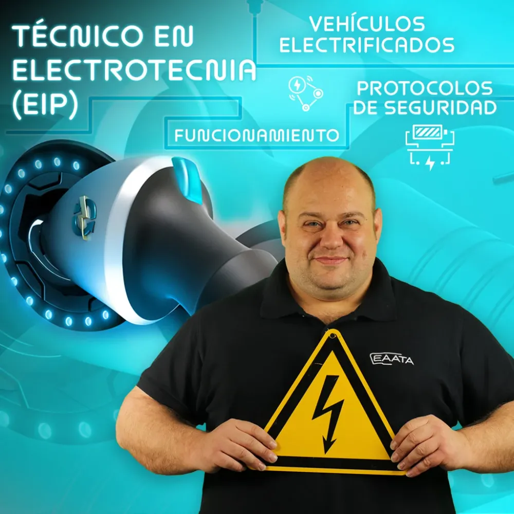 Conector de Garras Pessoa com formação em engenharia eléctrica e veículos eléctricos (PEI)