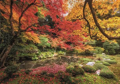 Puzzle Autumn Park - 1500 Peças - Clementoni