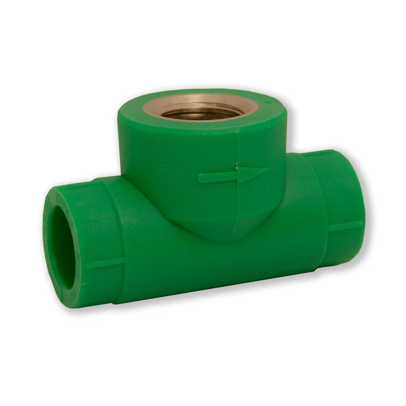 Corpo Pp-R Foraqua Com Balde e Rodo