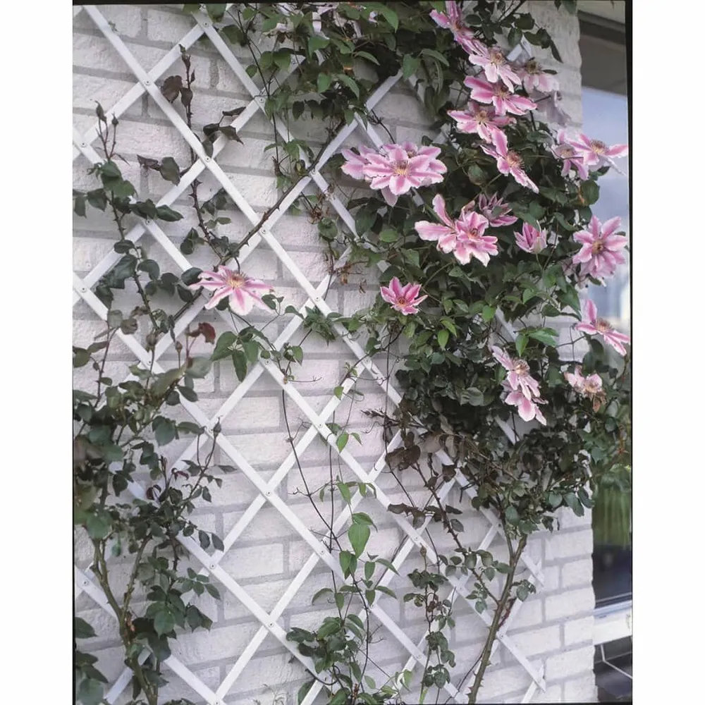 Nature Treliç de jardim 100x200 cm PVC branco 6040703