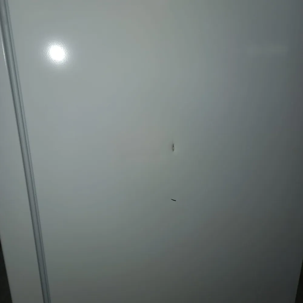 Outlet | Arca Vertical Bosch GSN33VWEP | 246L, No Frost, E