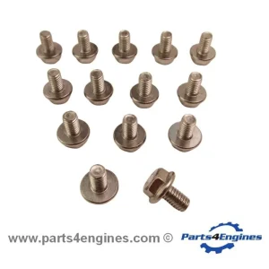 Perkins 102,04 conjunto de parafusos de poço