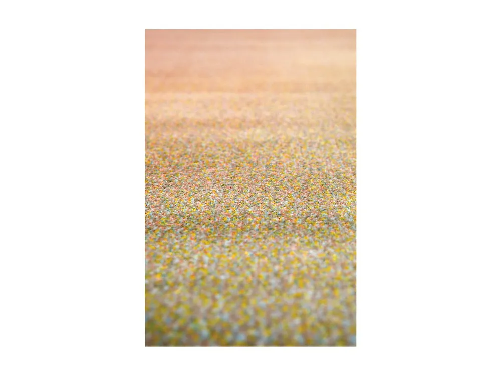 Tapete Caro Multicolorido 160 x 230 cm