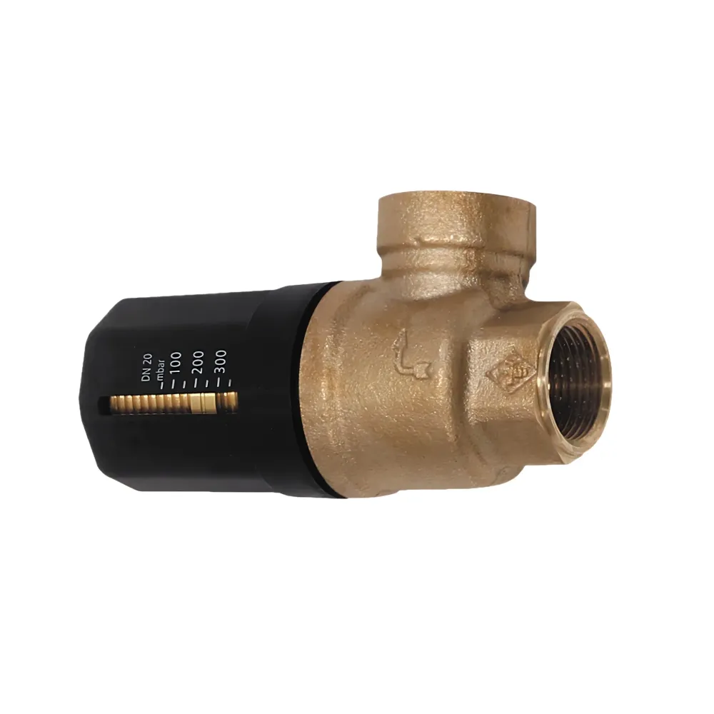 Válvula de transbordamento Vaillant Rp 3/4